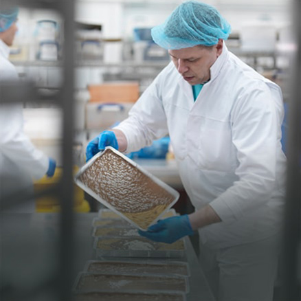 Food & Beverage Manufacturing